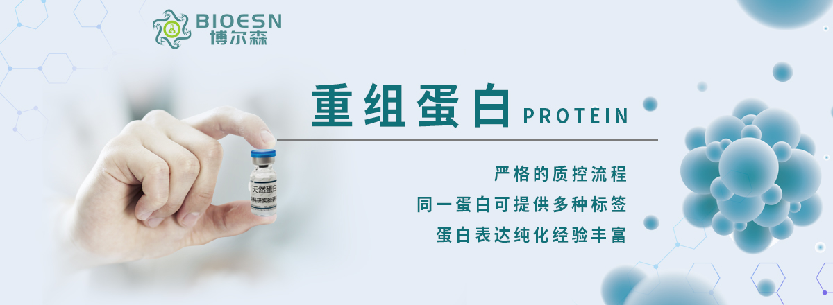 輪播圖